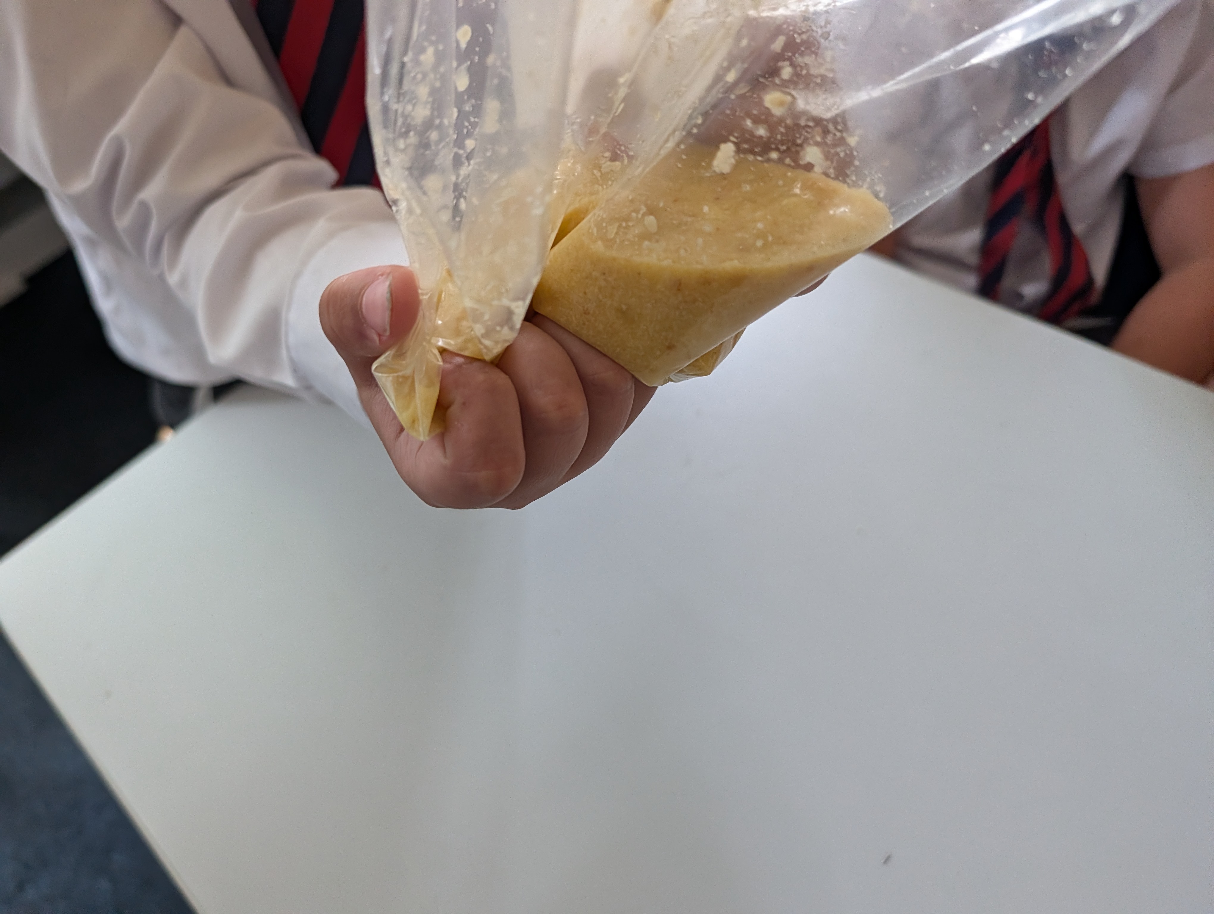 Year 4 science digestion experiment 5
